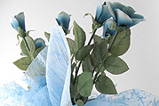 Floreal Composition