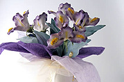 Floreal Composition